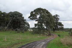 DSC06469