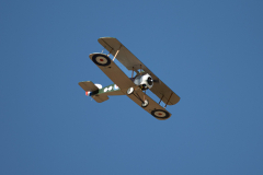 327450213_468280365339836_1957365037716371410_n